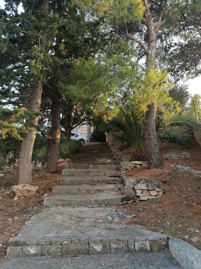 Holiday home La Petite Maison *